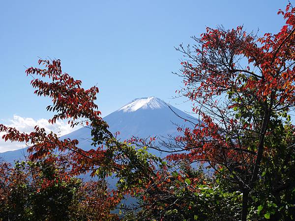 P1010028