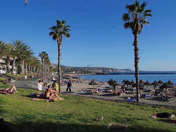 西班牙 Tenerife 特內裡費島