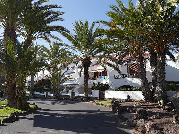 西班牙 Tenerife 特內裡費島