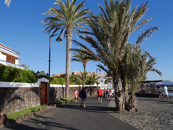 西班牙 Tenerife 特內裡費島