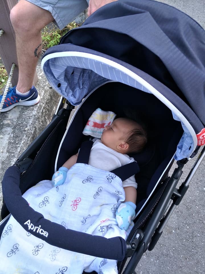 aprica 成長型汽座 三階段 新生兒 汽座