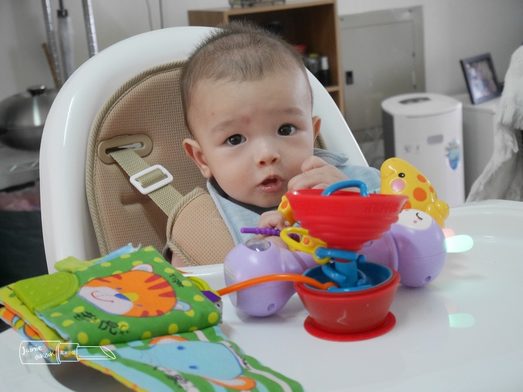 攜帶型 嬰兒 安全椅套 Grapple 玩具吸盤 LAVIDA育兒好好玩