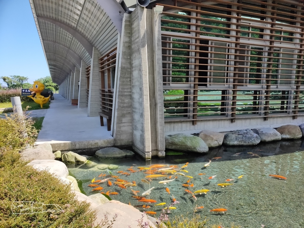 宜蘭 礁溪 甲鳥園 鴨舍 清水模 親子休閒.jpg