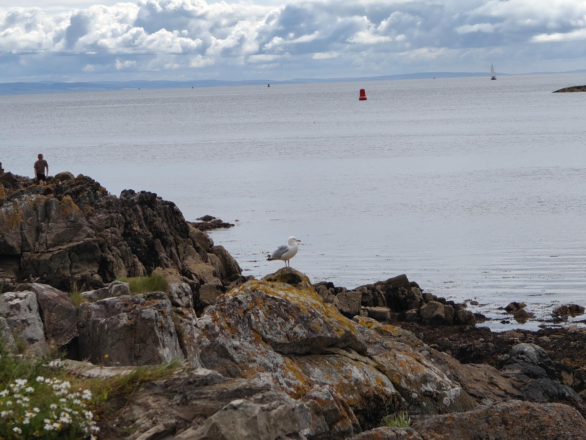 蘇格蘭|拉格斯Largs一日遊.美麗的海濱長廊、Great Cumbrae大坎布雷島、米爾波特Millport - 第37張圖