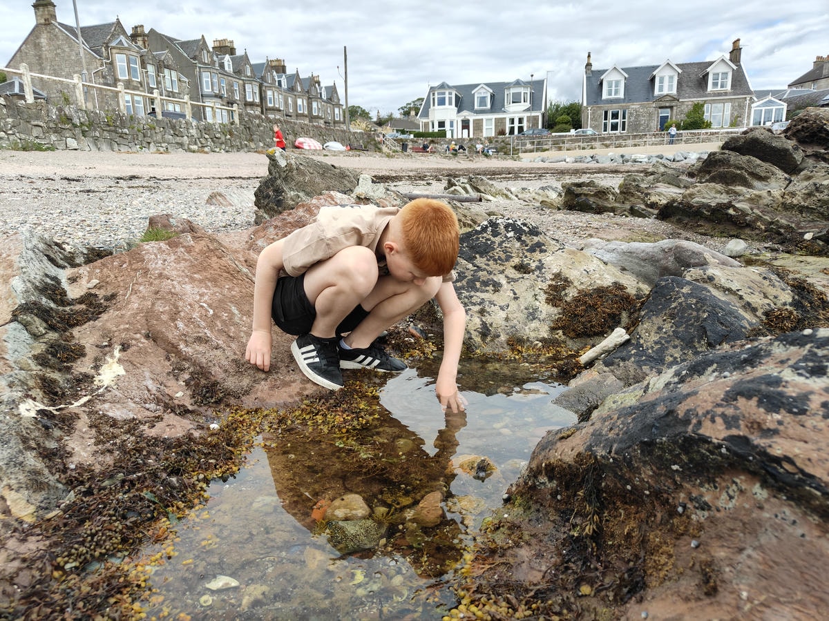 蘇格蘭|拉格斯Largs一日遊.美麗的海濱長廊、Great Cumbrae大坎布雷島、米爾波特Millport - 第36張圖
