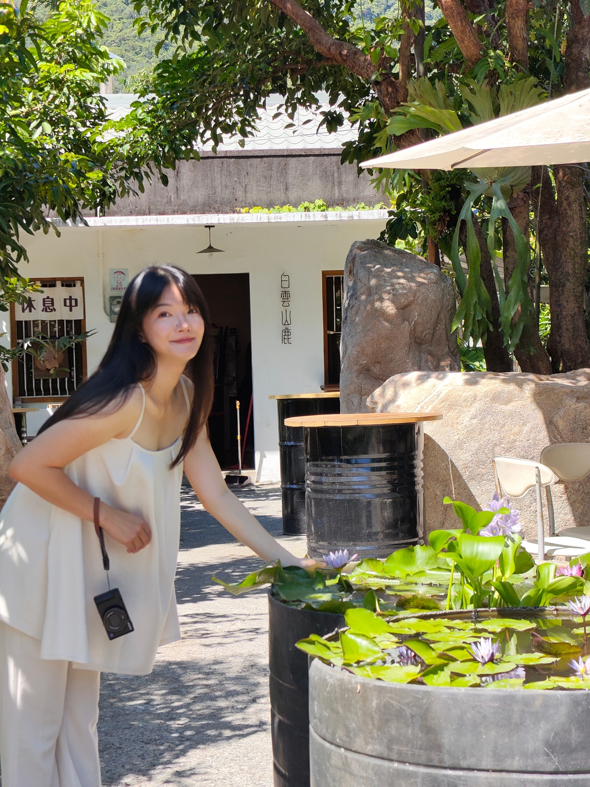 老宅早餐店|藏身於礁溪鄉間小路裡的白雲山鹿,絕美落雨松林停車場 - 第11張圖